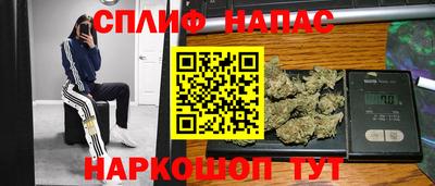PSILOCYBIN Нальчик
