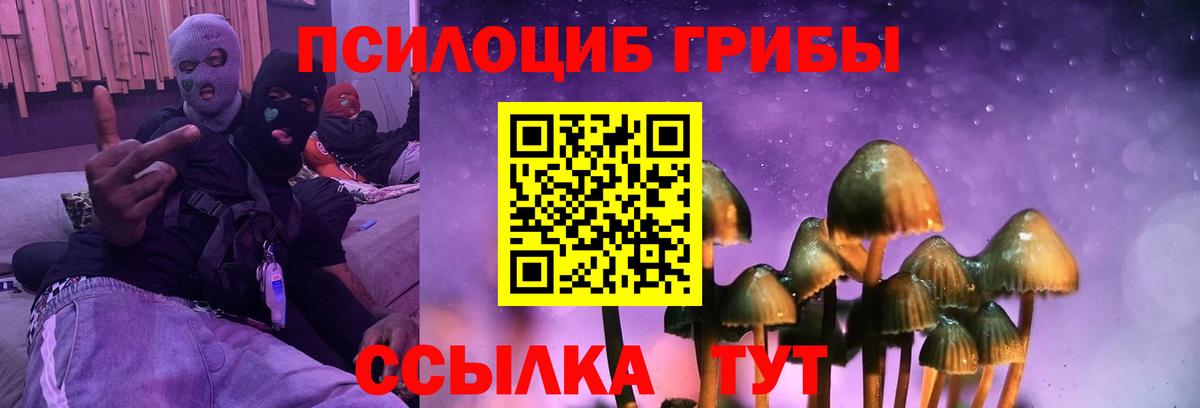 Новороссийск  Псилоцибиновые грибы ЛСД  Галлюциногенные грибы мухоморы  Вход с VPN 